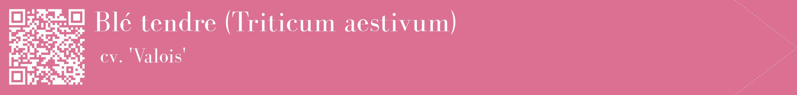 étiquette 2