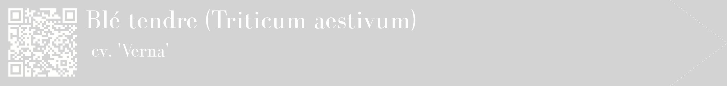 étiquette 2
