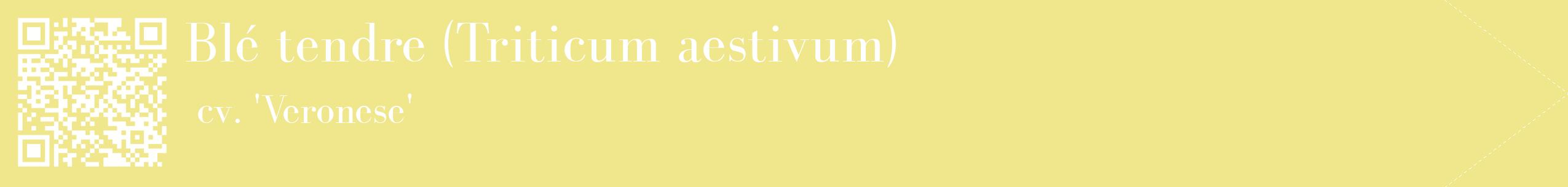 étiquette 2