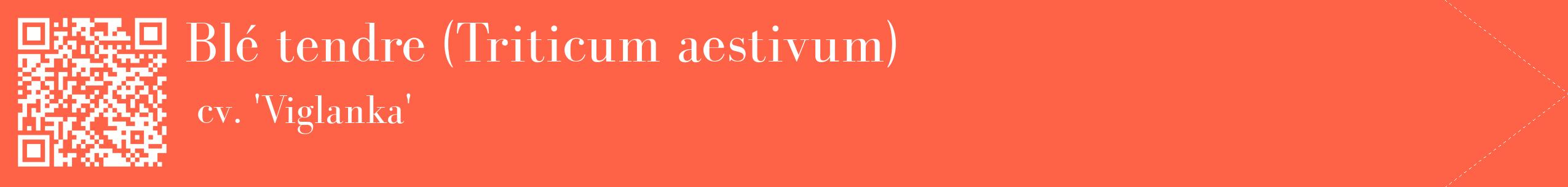 étiquette 2