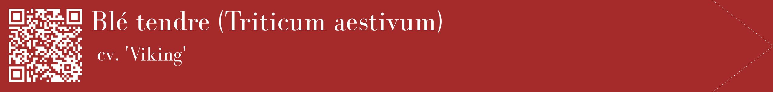 étiquette 2