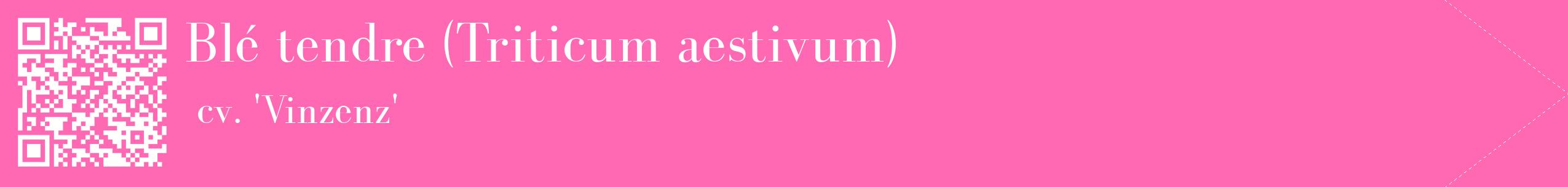 étiquette 2
