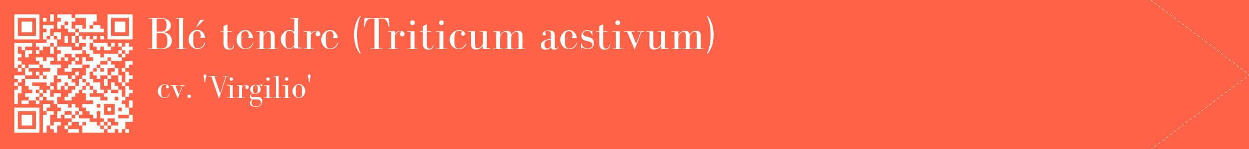 étiquette 2