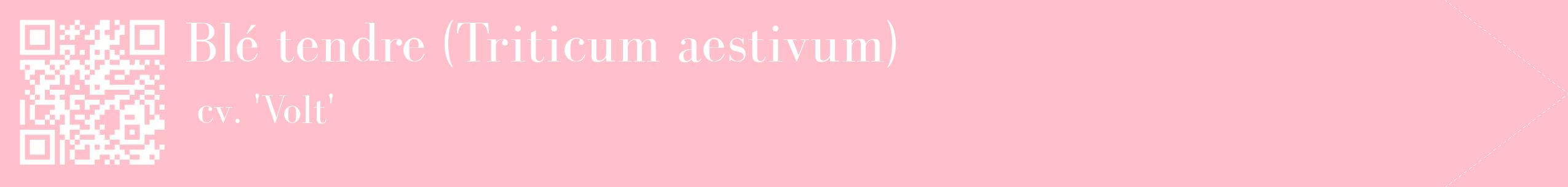 étiquette 2