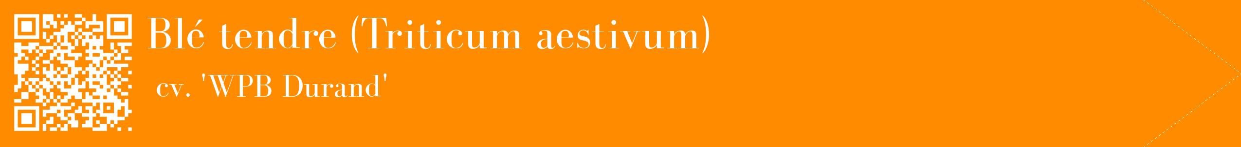 étiquette 2