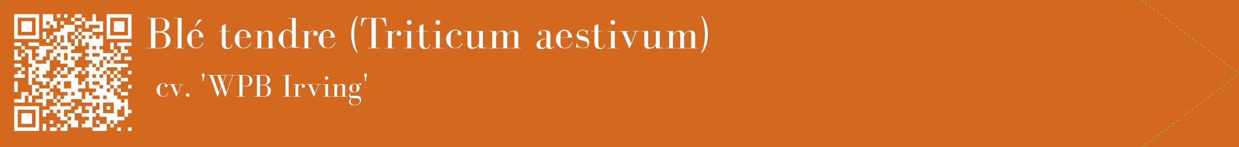étiquette 2