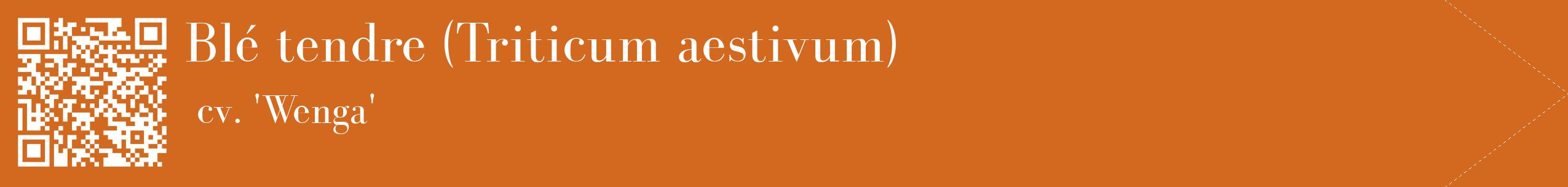 étiquette 2
