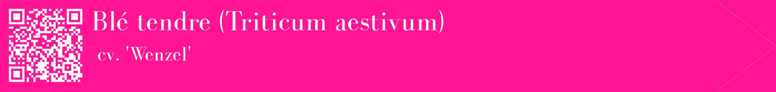 étiquette 2