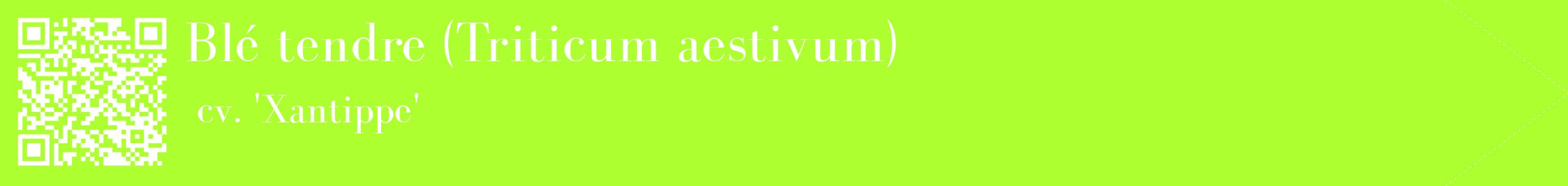 étiquette 2
