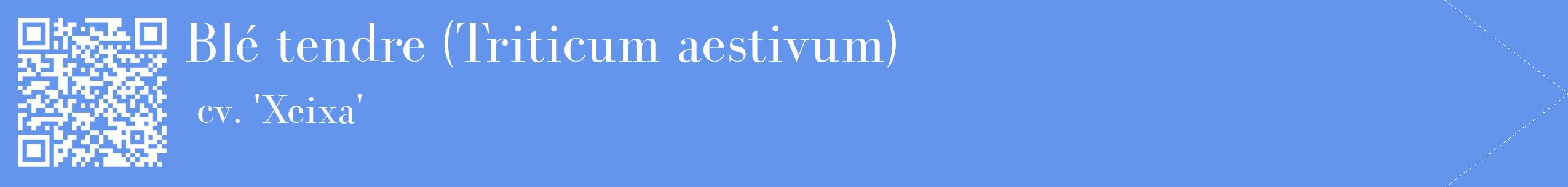 étiquette 2