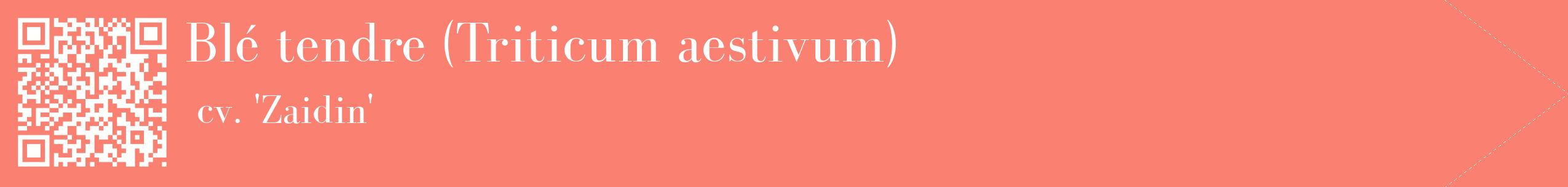 étiquette 2