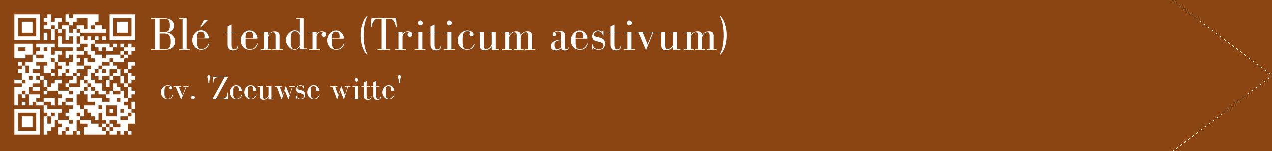 étiquette 2