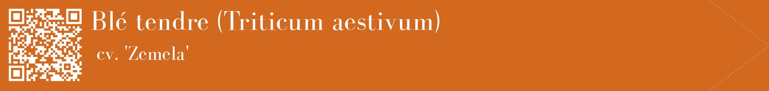 étiquette 2
