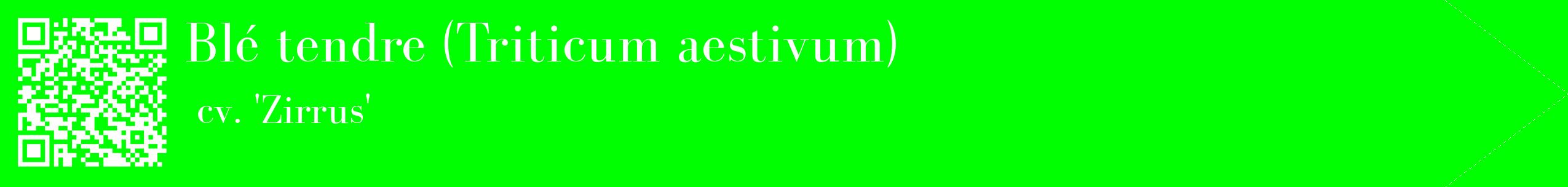 étiquette 2