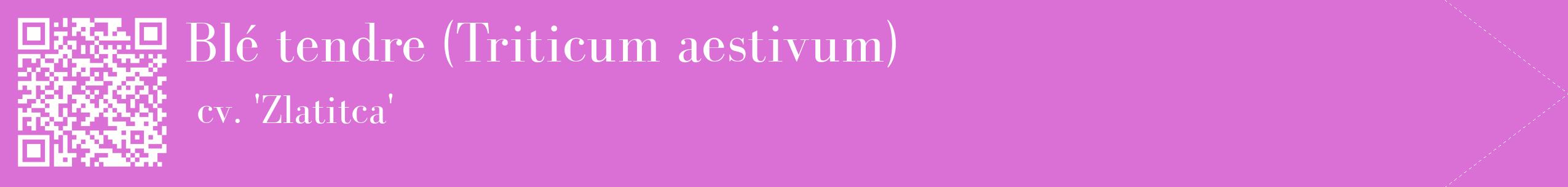 étiquette 2