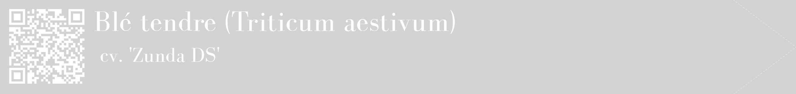 étiquette 2
