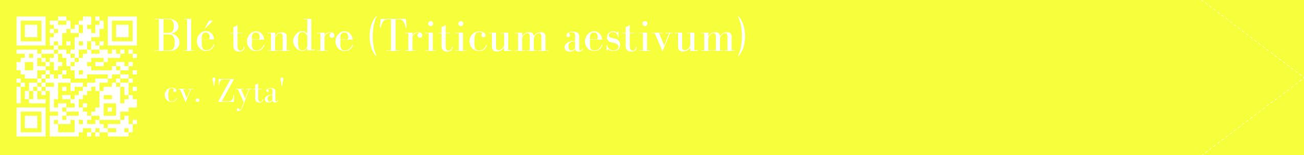 étiquette 2
