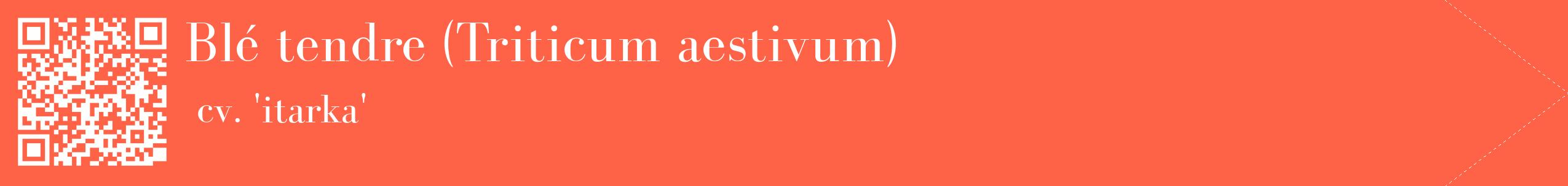 étiquette 2