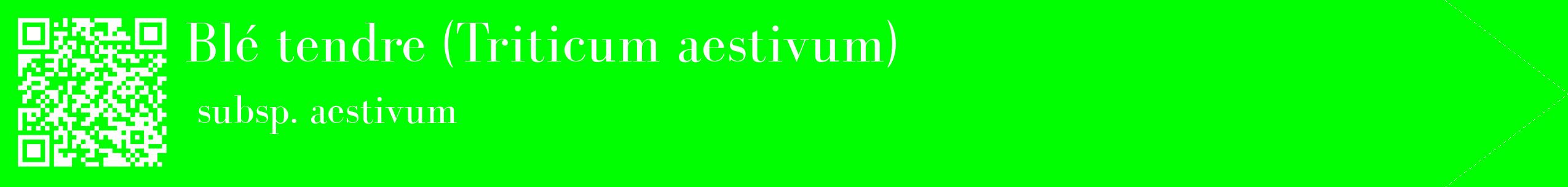 étiquette 2