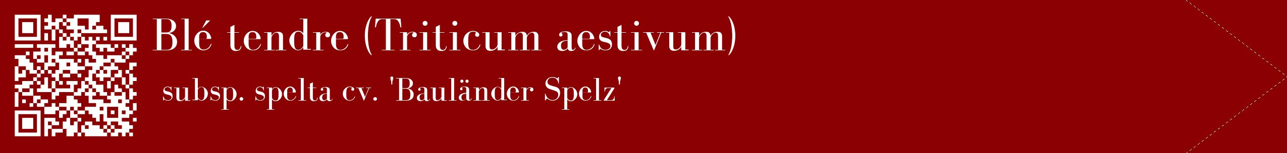 étiquette 2