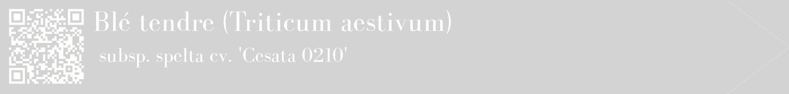 étiquette 2