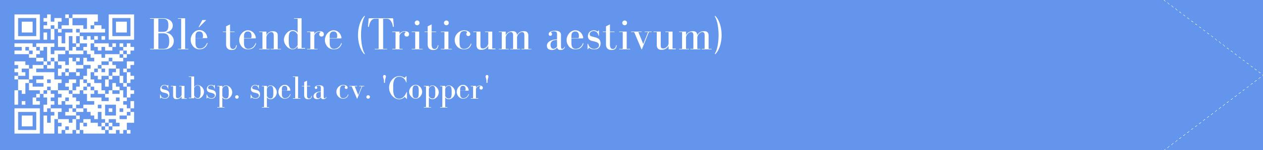étiquette 2