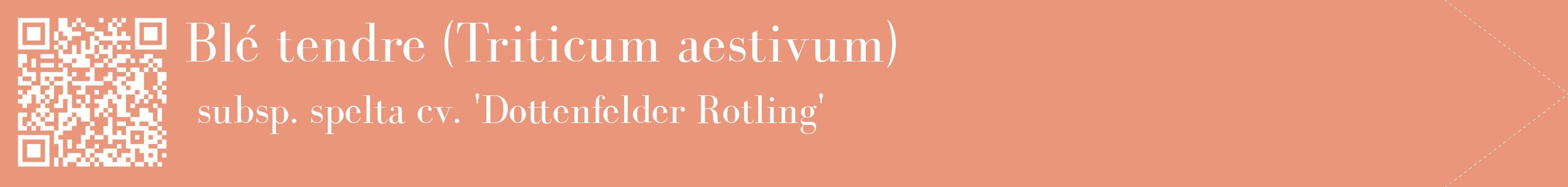 étiquette 2