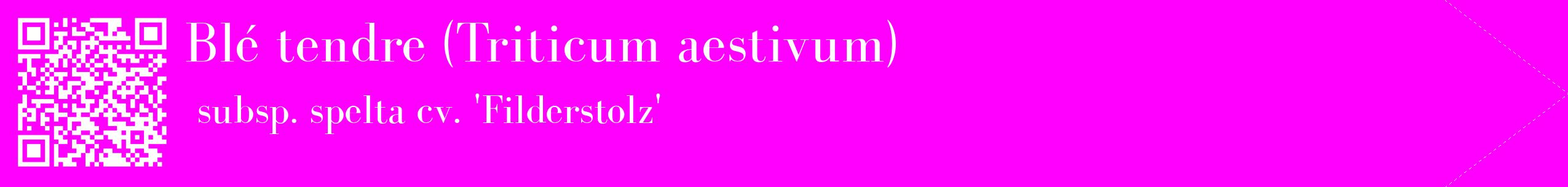 étiquette 2