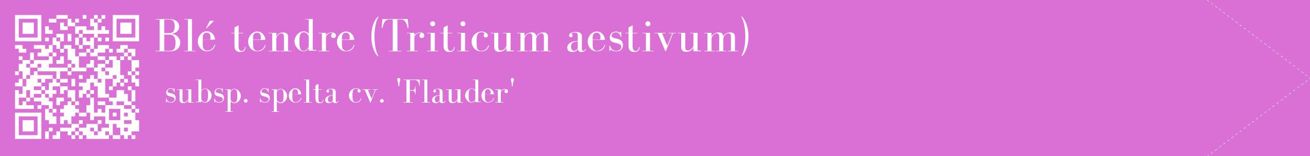 étiquette 2
