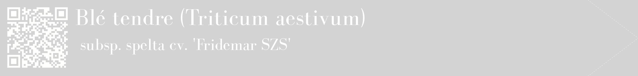étiquette 2