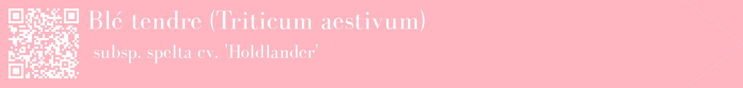 étiquette 2