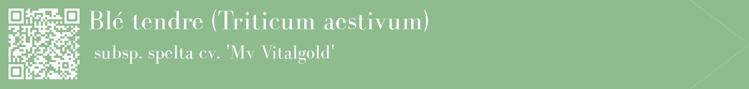 étiquette 2