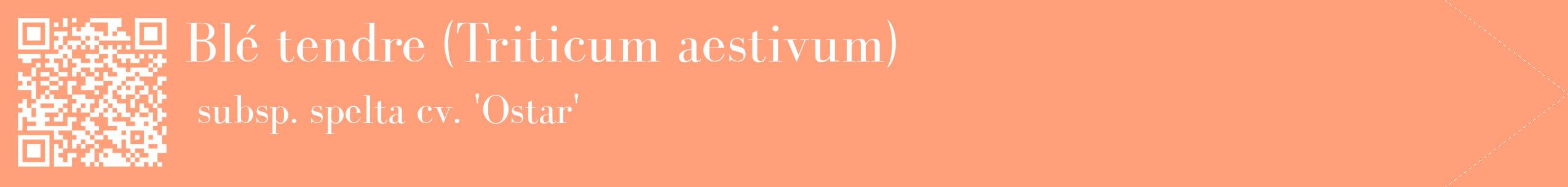 étiquette 2
