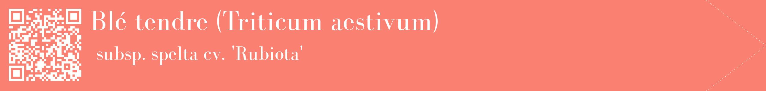 étiquette 2