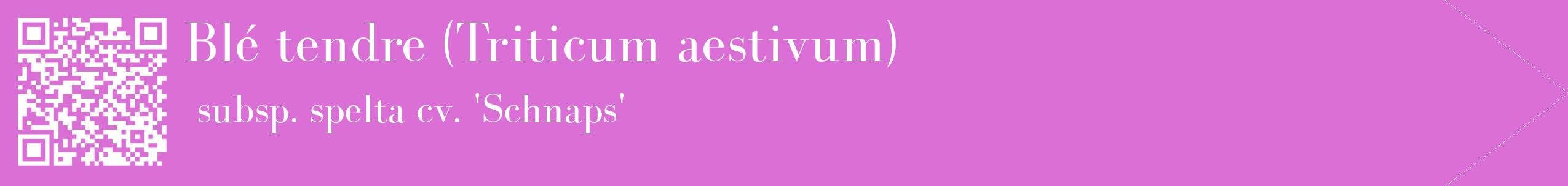 étiquette 2