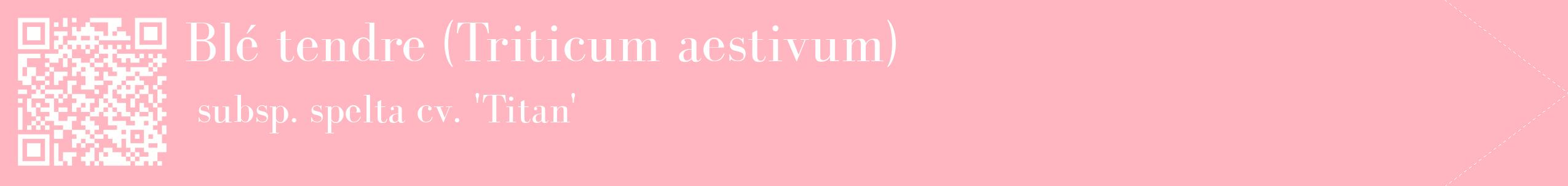 étiquette 2