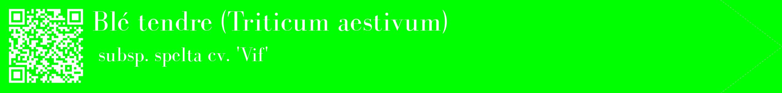 étiquette 2