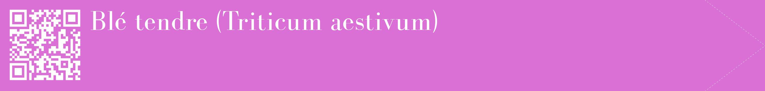 étiquette 2