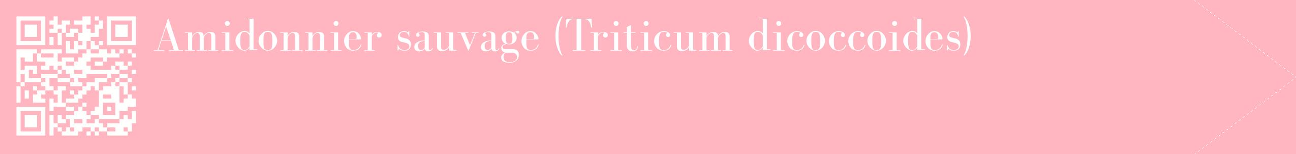 étiquette 2