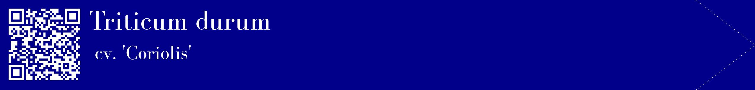 étiquette 2