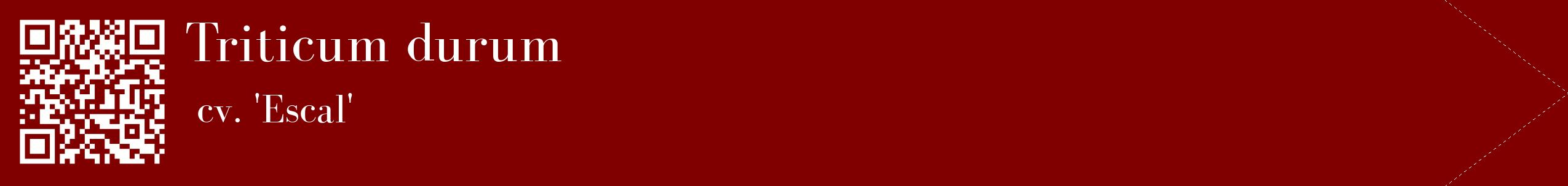 étiquette 2