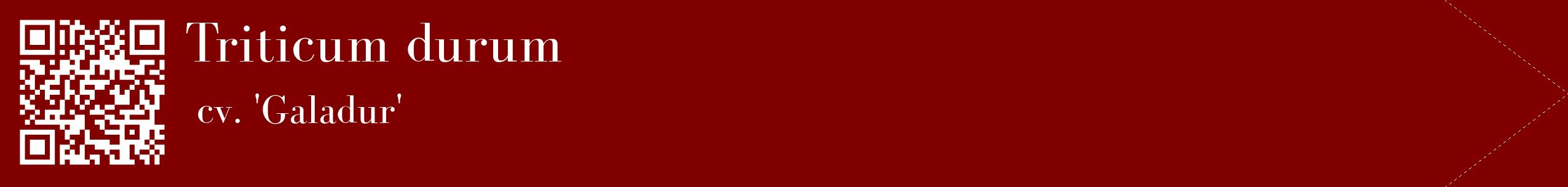 étiquette 2