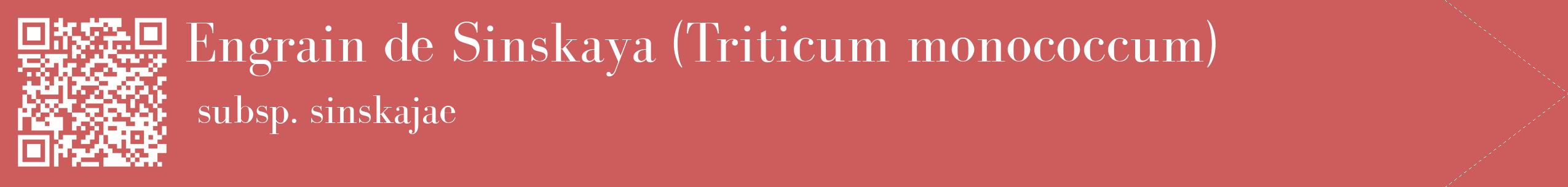 étiquette 2