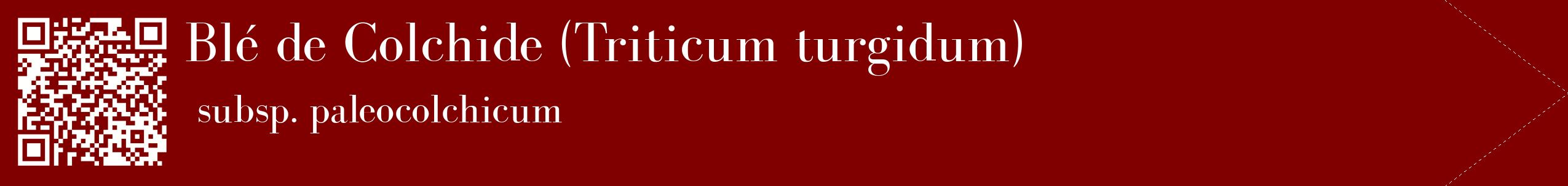 étiquette 2