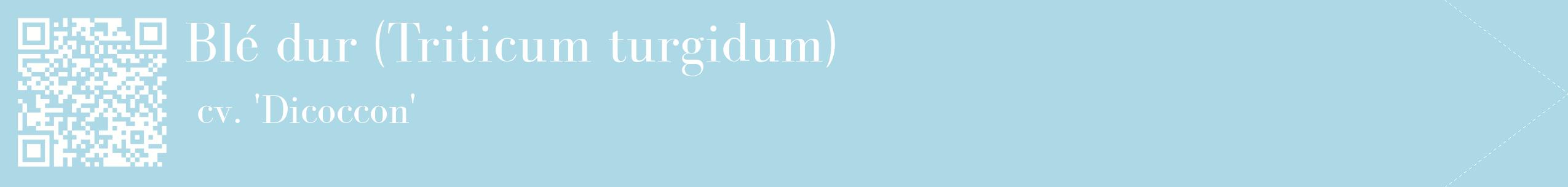 étiquette 2