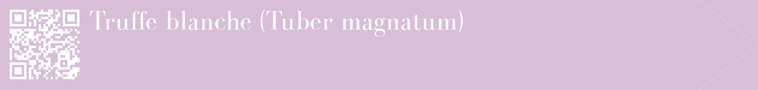 étiquette 2