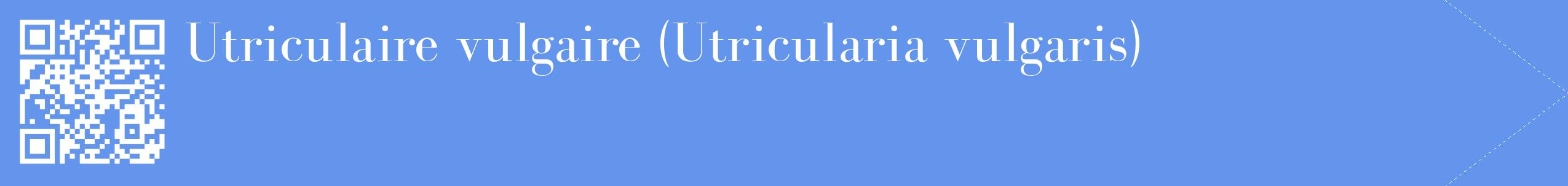 étiquette 2