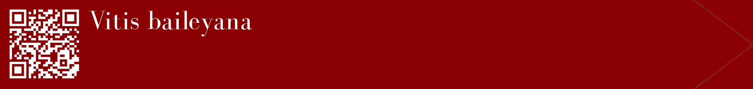 étiquette 2