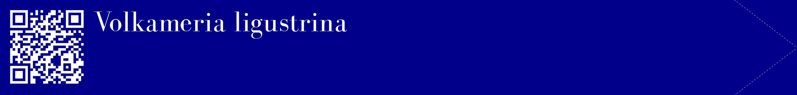 étiquette 2
