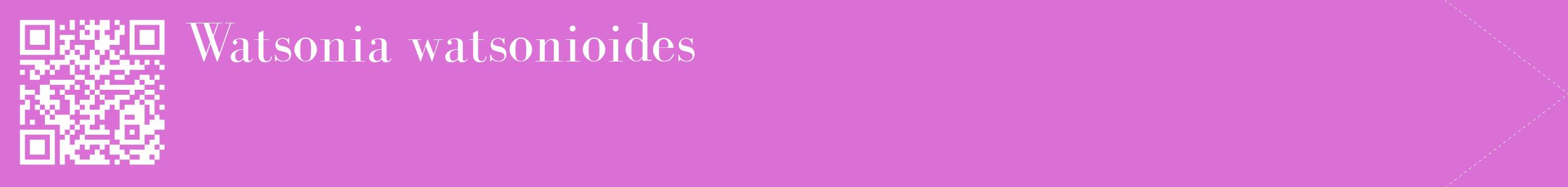 étiquette 2